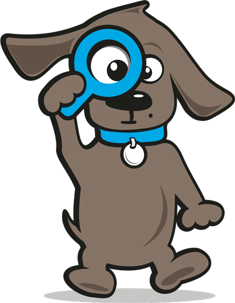 Hundeversicherung Kosten | Tinki